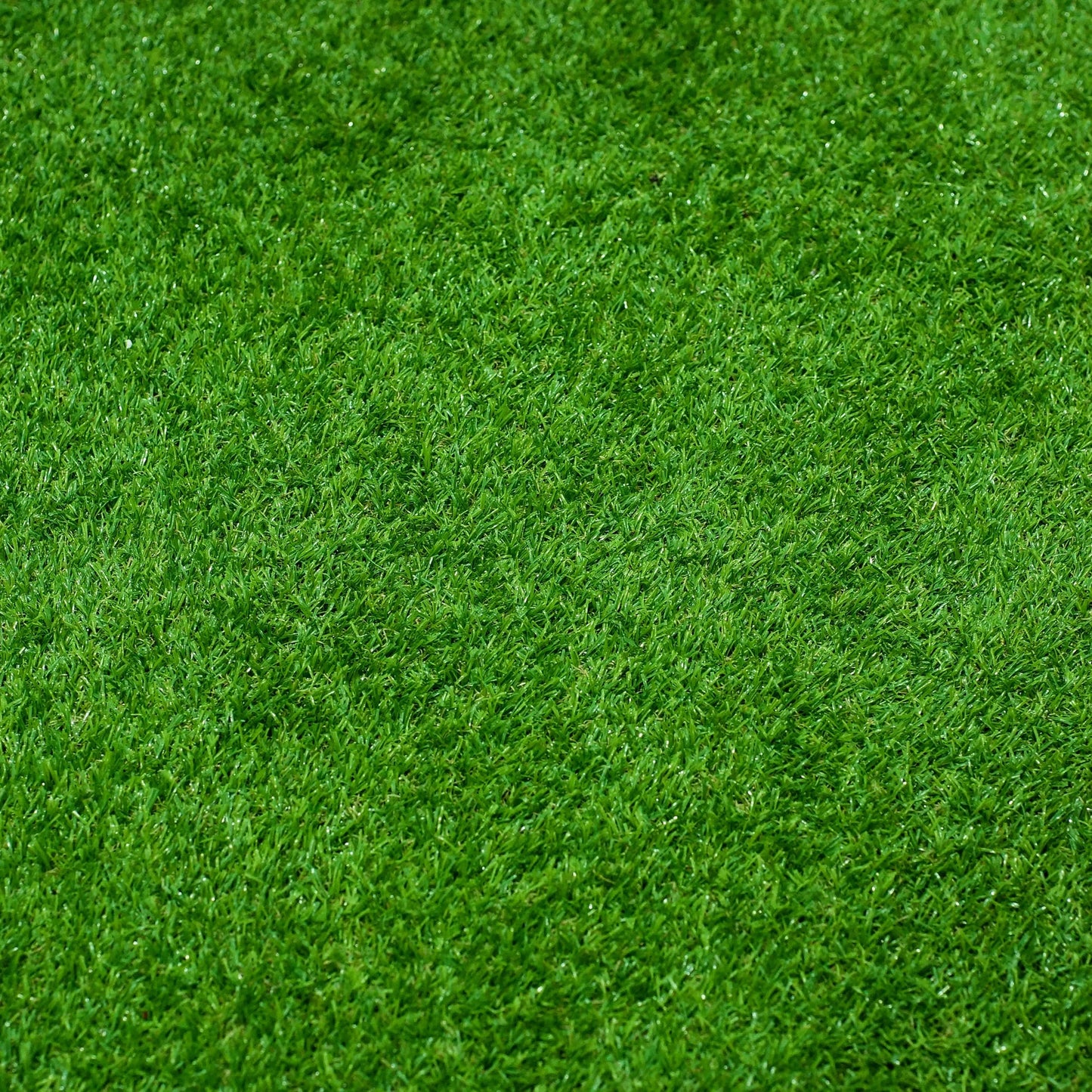 All Seasons Evergreen Grass Seeds | Year-Round Beautiful Green Lawn (Buy 1 Get 1 Free)