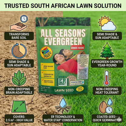 All Seasons Evergreen Grass Seeds | Year-Round Beautiful Green Lawn (Buy 1 Get 1 Free)
