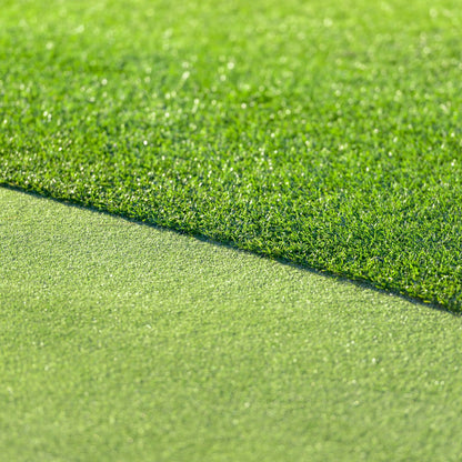 All Seasons Evergreen Grass Seeds | Year-Round Beautiful Green Lawn (Buy 1 Get 1 Free)