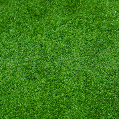 All Seasons Evergreen Grass Seeds | Year-Round Beautiful Green Lawn (Buy 1 Get 1 Free)